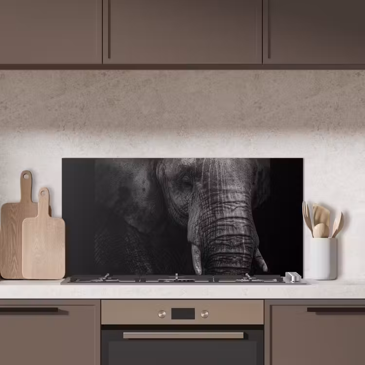 Olifant - Dier - Portret keuken achterwand spatscherm middel -sfeer2