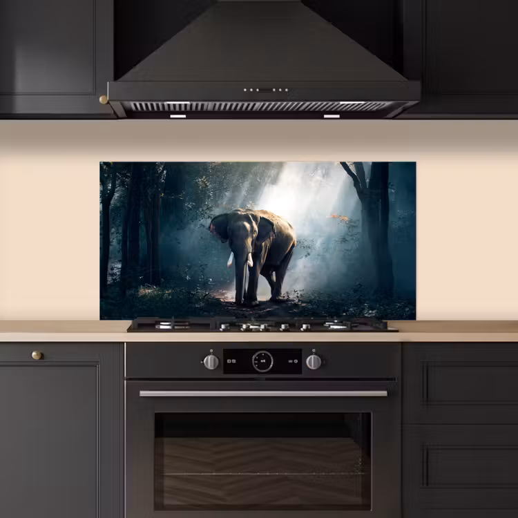 Olifant - Dieren - Licht - Bos - Natuur - Wilde dieren keuken achterwand spatscherm middel -sfeer1