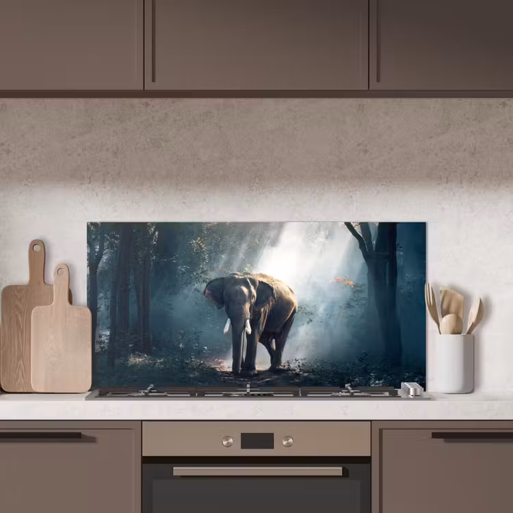 Olifant - Dieren - Licht - Bos - Natuur - Wilde dieren keuken achterwand spatscherm middel -sfeer2