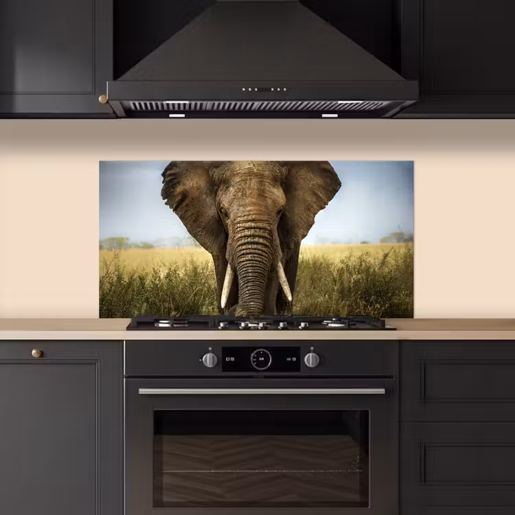 Olifant - Natuur - Gras - Dieren - Landschap keuken achterwand spatscherm middel -sfeer1