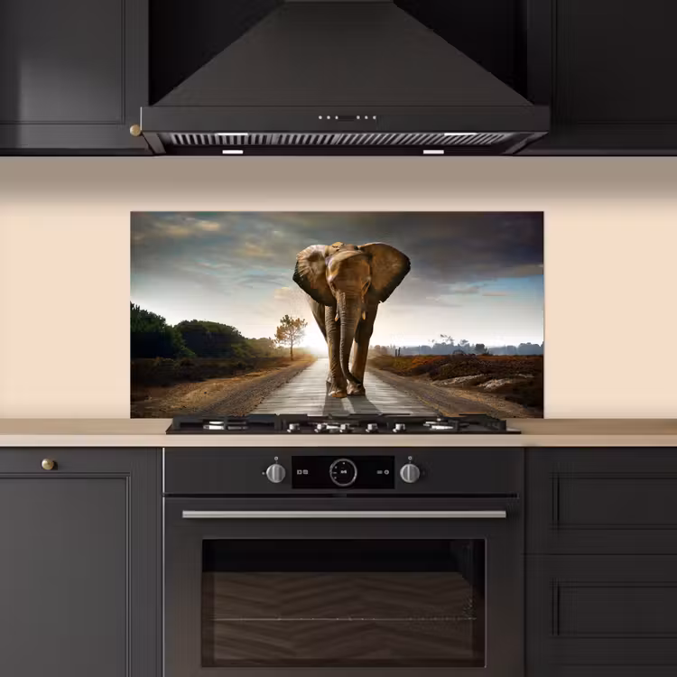Olifant - Weg - Dieren - Zonsondergang - Landschap keuken achterwand spatscherm middel -sfeer1