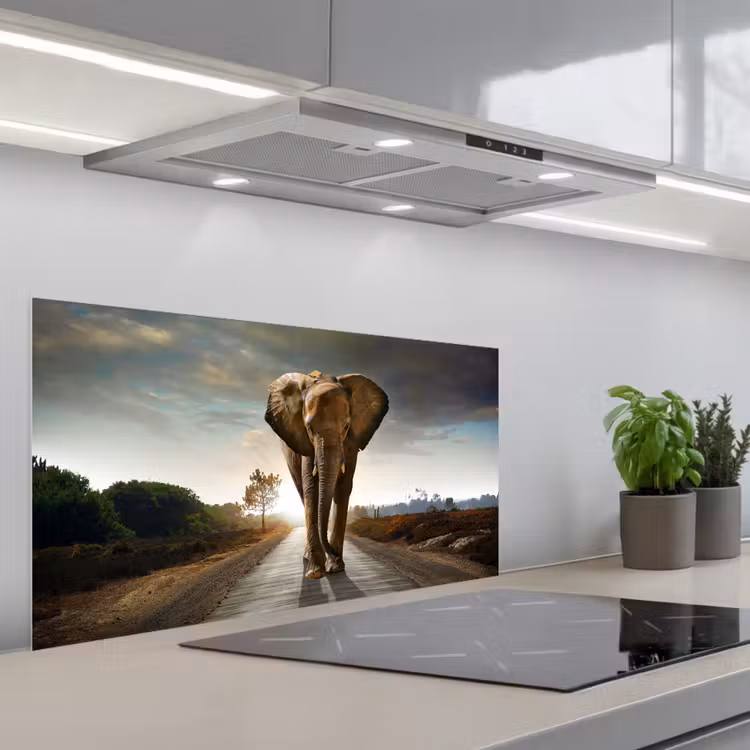 Olifant - Weg - Dieren - Zonsondergang - Landschap keuken achterwand spatscherm middel -3d_schuin
