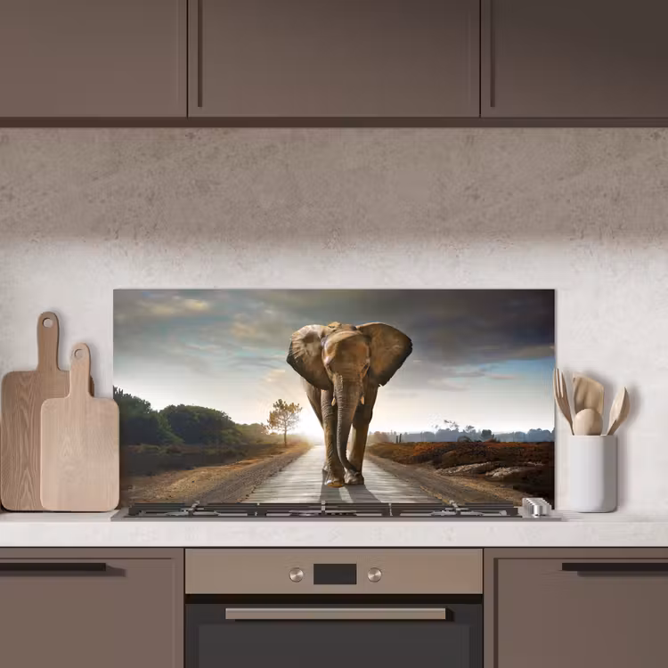 Olifant - Weg - Dieren - Zonsondergang - Landschap keuken achterwand spatscherm middel -sfeer2