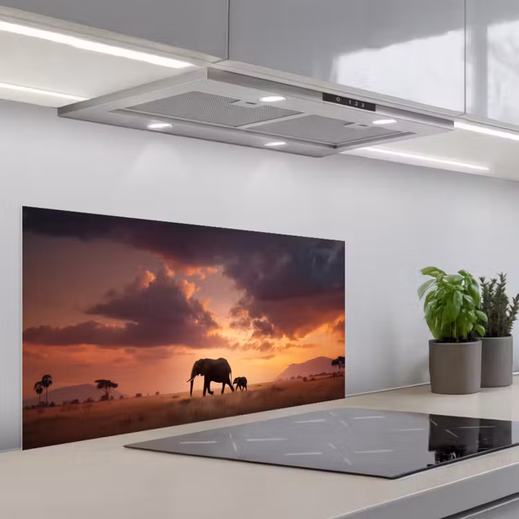 Olifanten - Grasland - Zonsondergang keuken achterwand spatscherm middel -3d_schuin