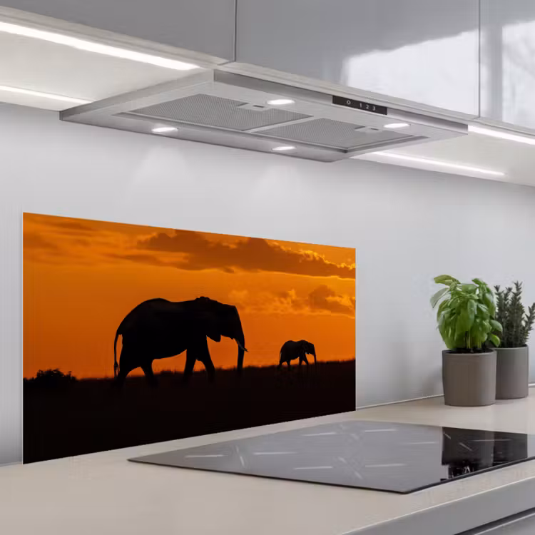 Olifanten - Savanne - Zonsondergang keuken achterwand spatscherm middel -3d_schuin