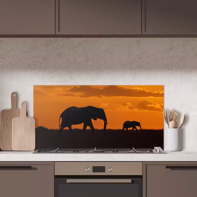 Olifanten - Savanne - Zonsondergang keuken achterwand spatscherm middel -sfeer2