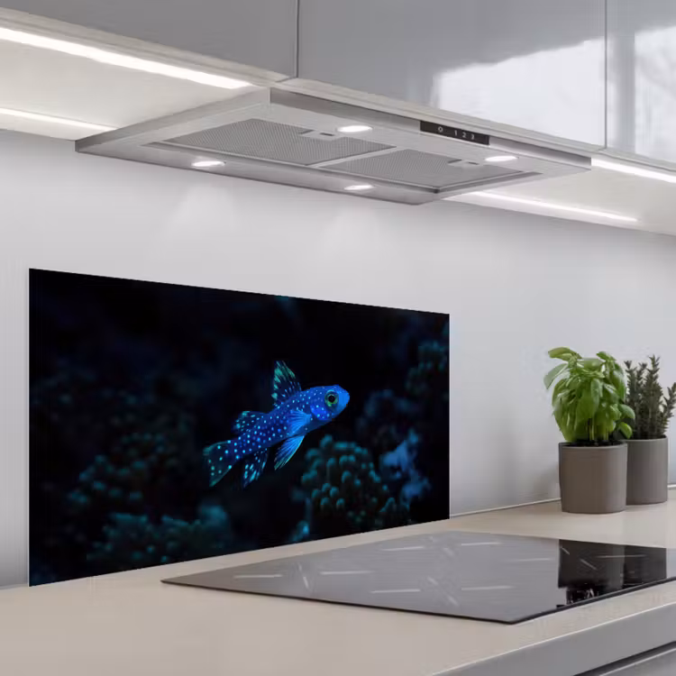 Vis - Stippen - Koraal - Blauw keuken achterwand spatscherm middel -3d_schuin