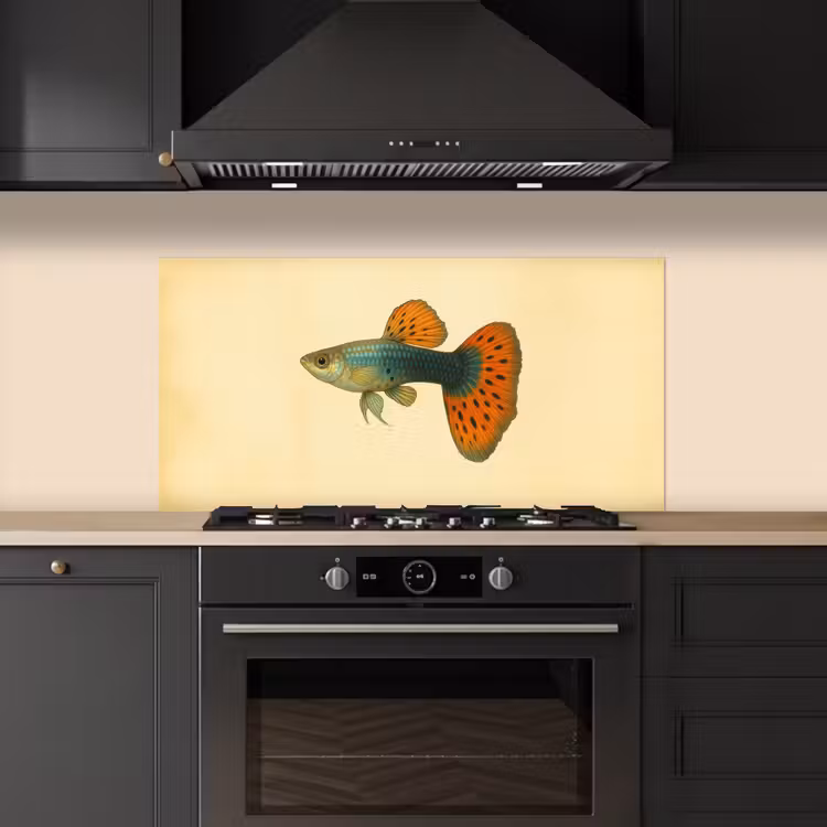 Vis - illustratie - Stippen - Oranje keuken achterwand spatscherm middel -sfeer1