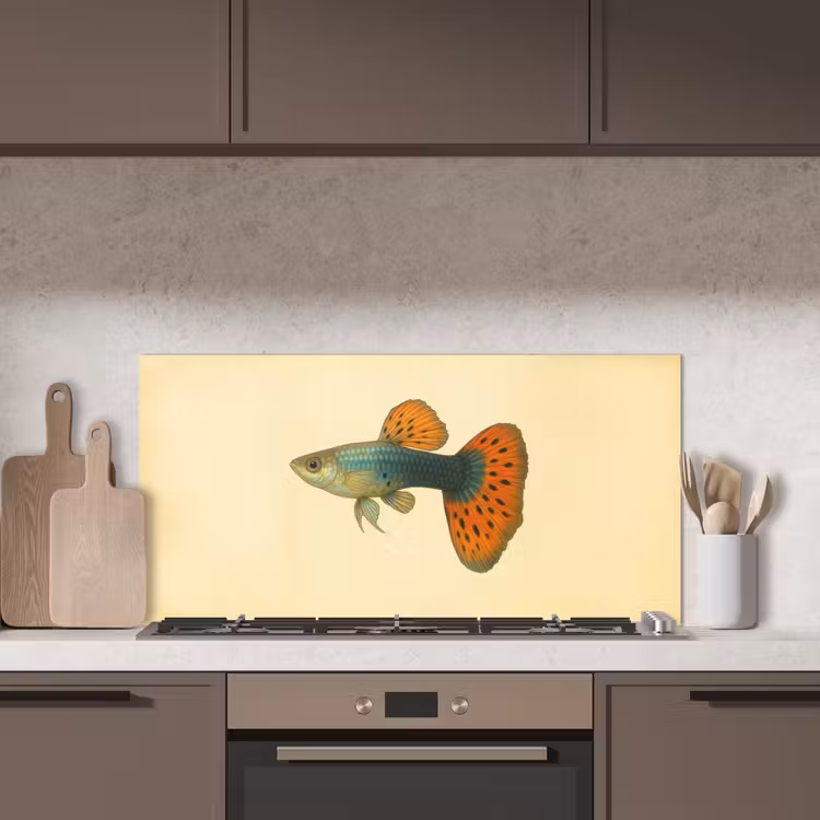 Vis - illustratie - Stippen - Oranje keuken achterwand spatscherm middel -sfeer2