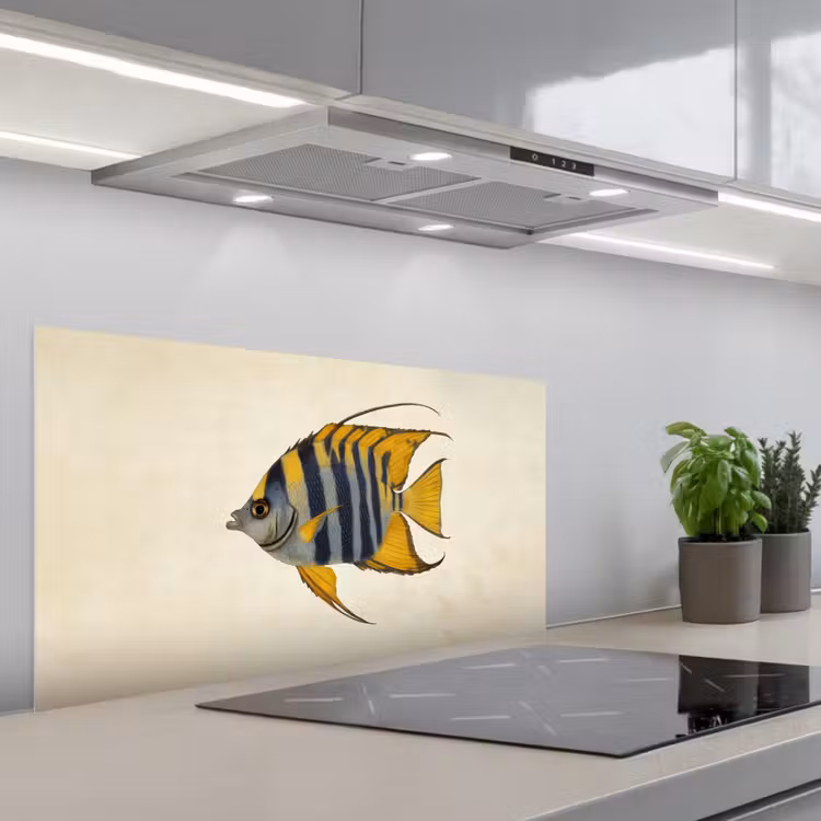Vis - Sierlijk - Vinnen - Illustratie keuken achterwand spatscherm middel -3d_schuin