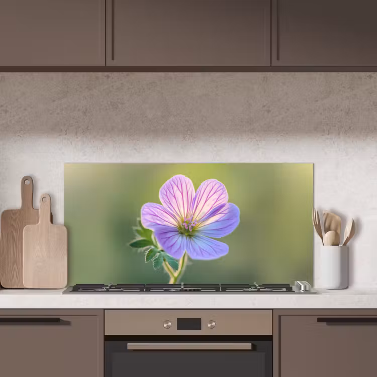 Bloem - Close up - Paars keuken achterwand spatscherm middel -sfeer2