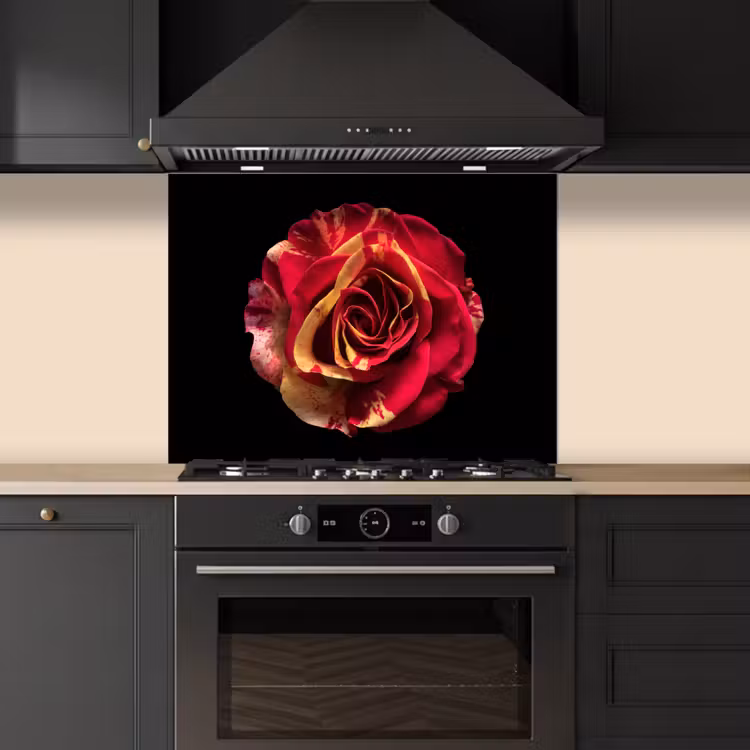 Bloem - Roos - Rood - Zwart keuken achterwand spatscherm middel -sfeer1