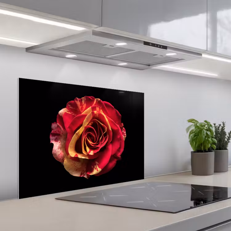 Bloem - Roos - Rood - Zwart keuken achterwand spatscherm middel -3d_schuin