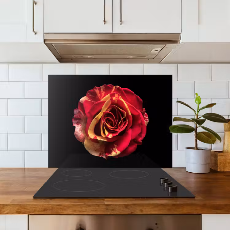 Bloem - Roos - Rood - Zwart keuken achterwand spatscherm middel -sfeer2