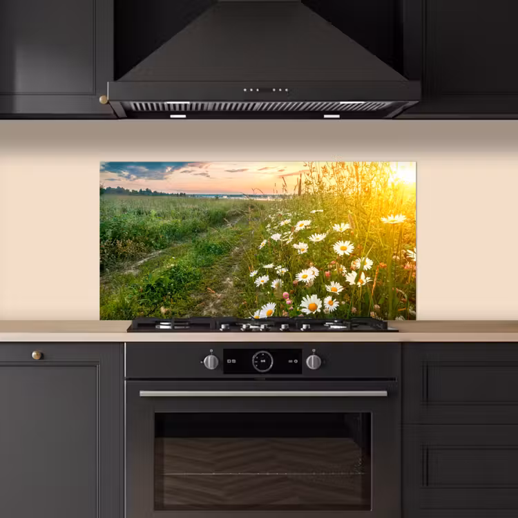 Bloemen - Madelief - Natuur - Zon - Horizon keuken achterwand spatscherm middel -sfeer1