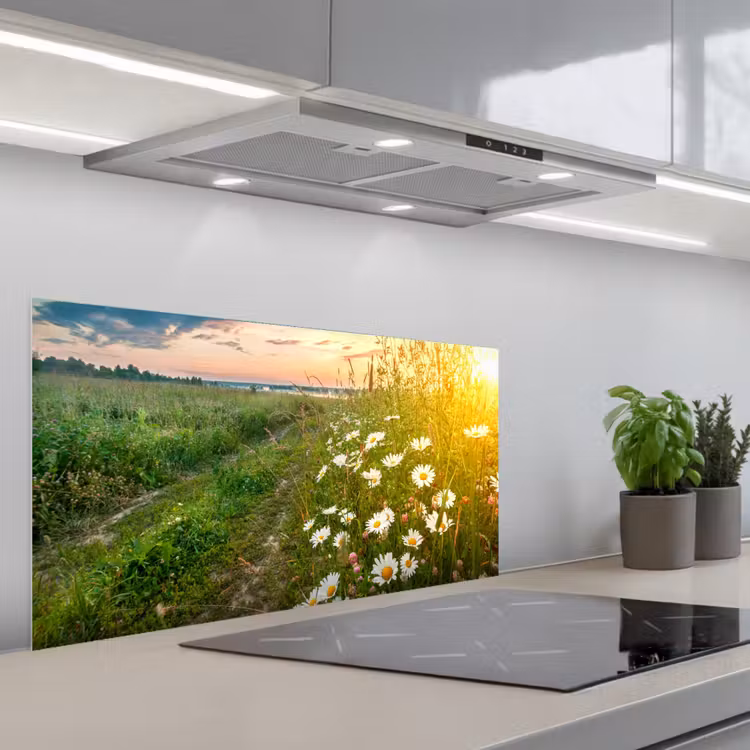 Bloemen - Madelief - Natuur - Zon - Horizon keuken achterwand spatscherm middel -3d_schuin