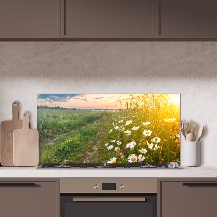 Bloemen - Madelief - Natuur - Zon - Horizon keuken achterwand spatscherm middel -sfeer2