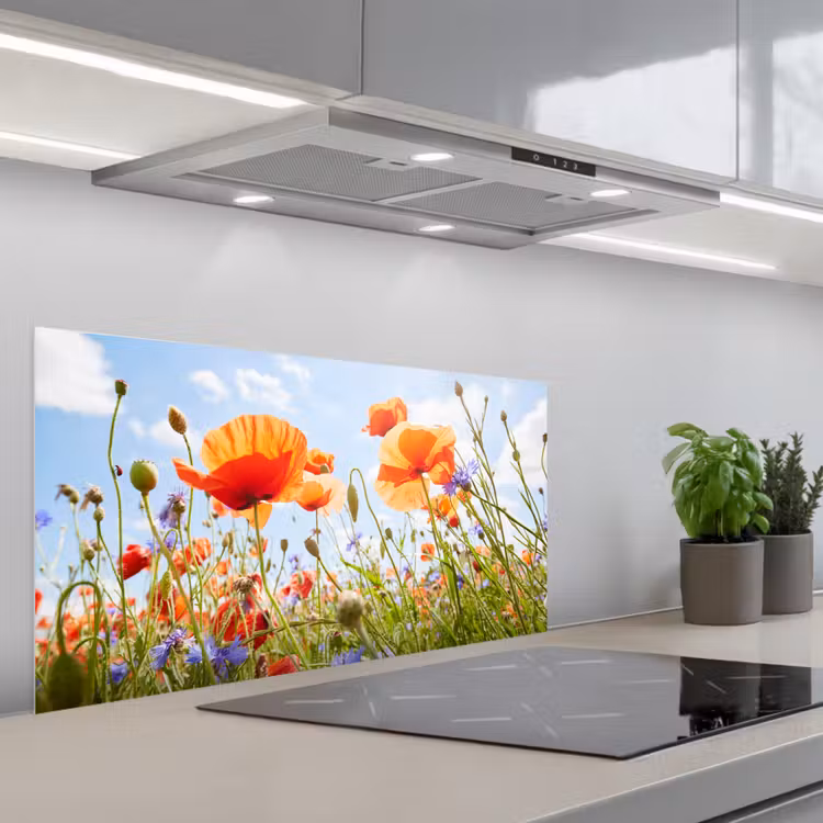 Bloemen - Klaproos - Lente - Natuur - Rood - Blauw keuken achterwand spatscherm middel -3d_schuin