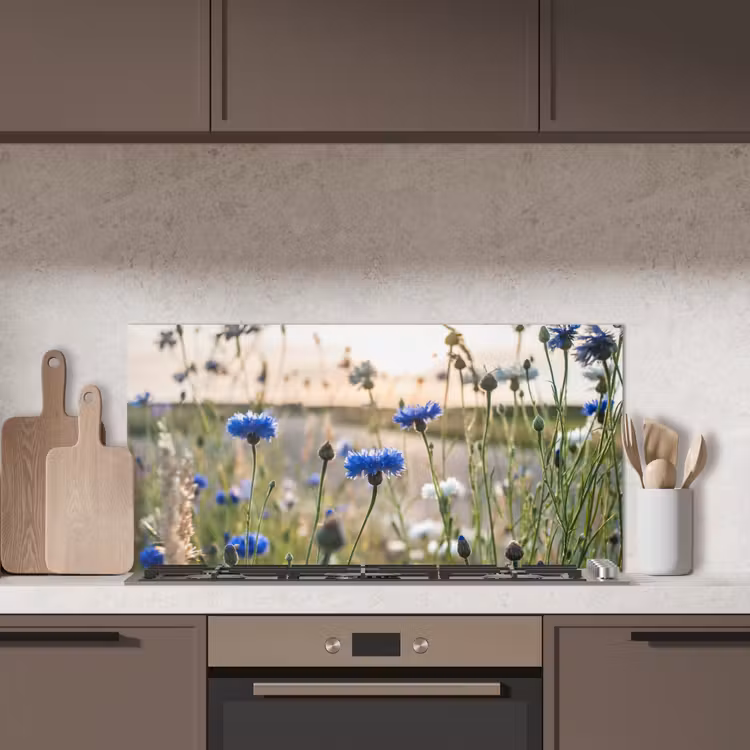 Bloemen - Zomer - Korenbloem - Blauw - Zon - Wolken keuken achterwand spatscherm middel -sfeer2