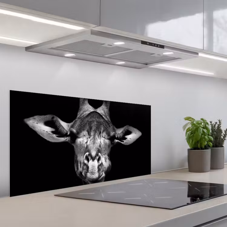 Giraffe - Portret - Dieren - Zwart - Wit keuken achterwand spatscherm middel -3d_schuin