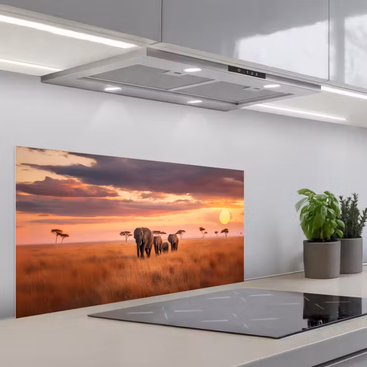 Groep olifanten - Open vlakte - Zon keuken achterwand spatscherm middel -3d_schuin