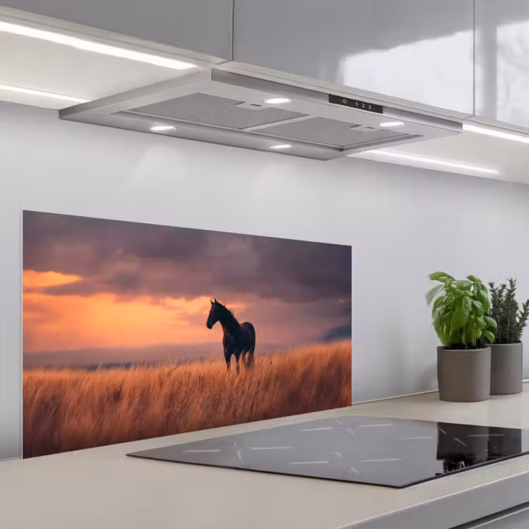 Paard - Wolken - Open veld keuken achterwand spatscherm middel -3d_schuin
