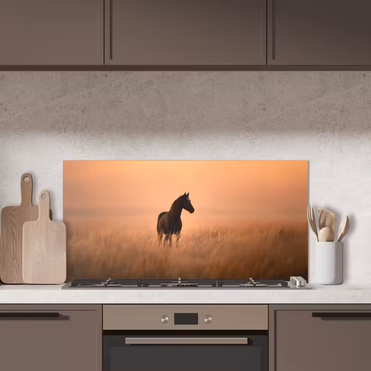Paard - Grasveld - Zonsondergang keuken achterwand spatscherm middel -sfeer2