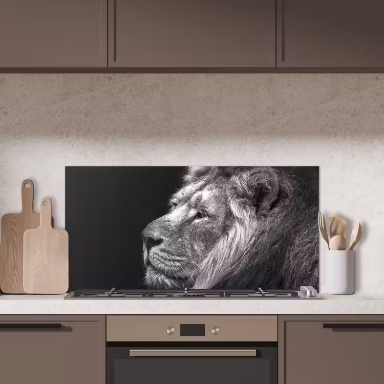Leeuw tegen zwarte achtergrond in zwart-wit keuken achterwand spatscherm middel -sfeer2