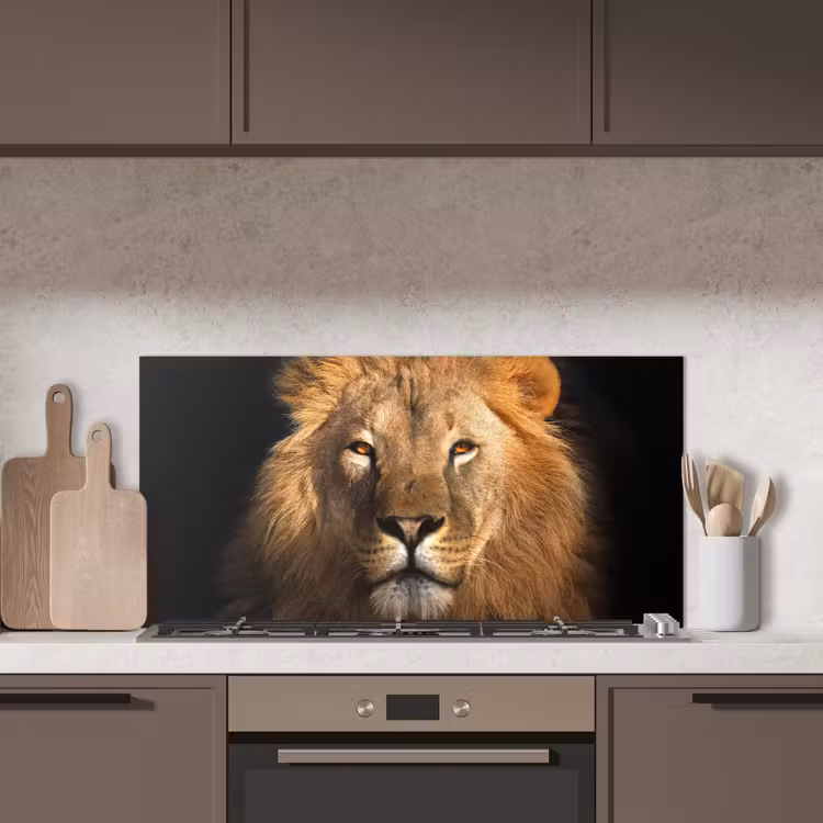 Leeuw - Dieren - Zwart - Licht - Bruin - Portret keuken achterwand spatscherm middel -sfeer2