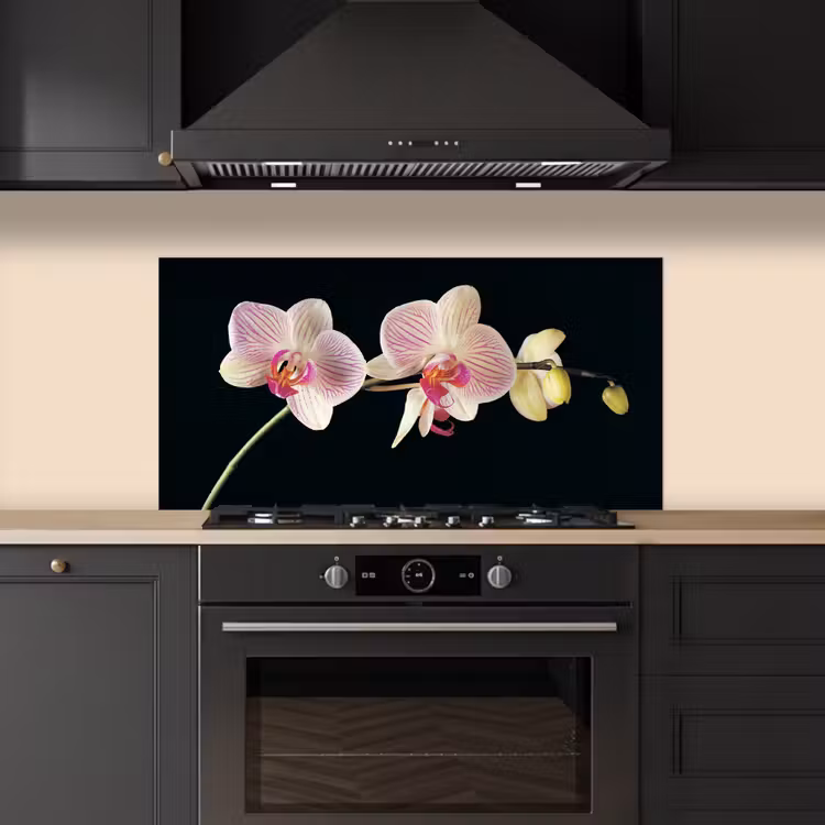 Orchidee - Bloemen - Zwart - Roze - Knoppen keuken achterwand spatscherm middel -sfeer1
