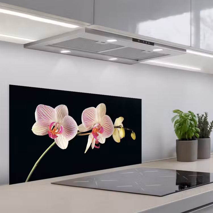 Orchidee - Bloemen - Zwart - Roze - Knoppen keuken achterwand spatscherm middel -3d_schuin