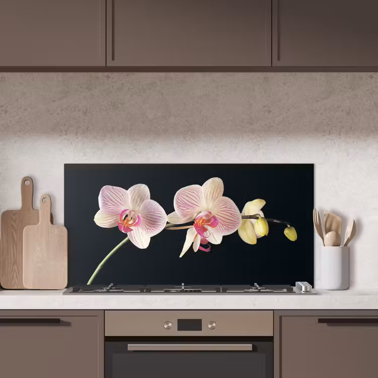 Orchidee - Bloemen - Zwart - Roze - Knoppen keuken achterwand spatscherm middel -sfeer2