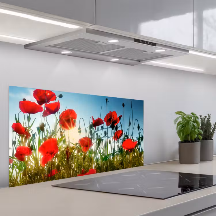 Klaprozen - Toscane - Zon - Rood - Blauw keuken achterwand spatscherm middel -3d_schuin