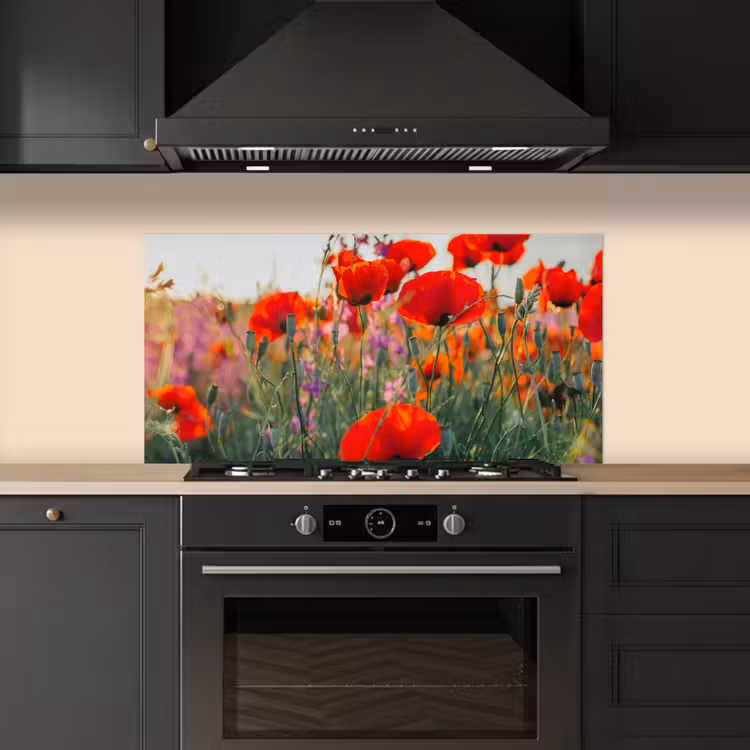 Klaproos - Bloemen - Rood - Paars - Weide keuken achterwand spatscherm middel -sfeer1