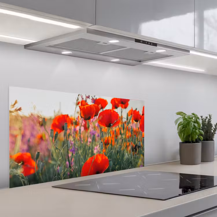 Klaproos - Bloemen - Rood - Paars - Weide keuken achterwand spatscherm middel -3d_schuin