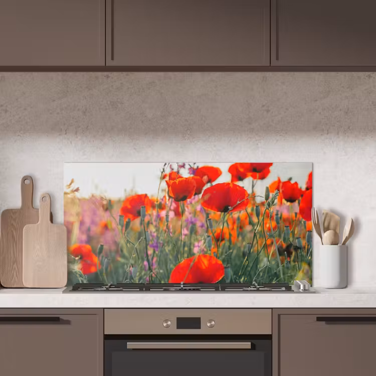 Klaproos - Bloemen - Rood - Paars - Weide keuken achterwand spatscherm middel -sfeer2