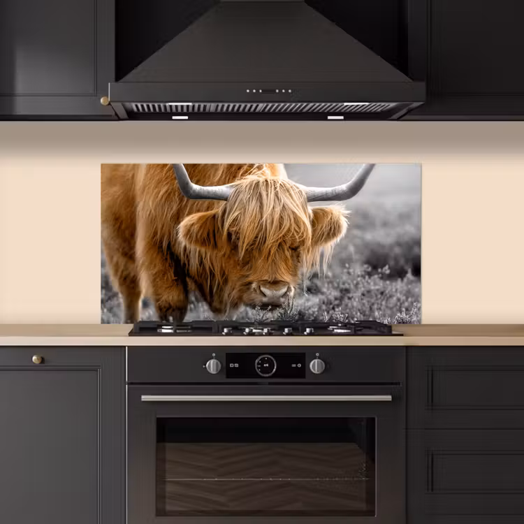 Schotse Hooglander - Dieren - Bruin - Koe - Zwart - Wit - Natuur keuken achterwand spatscherm middel -sfeer1