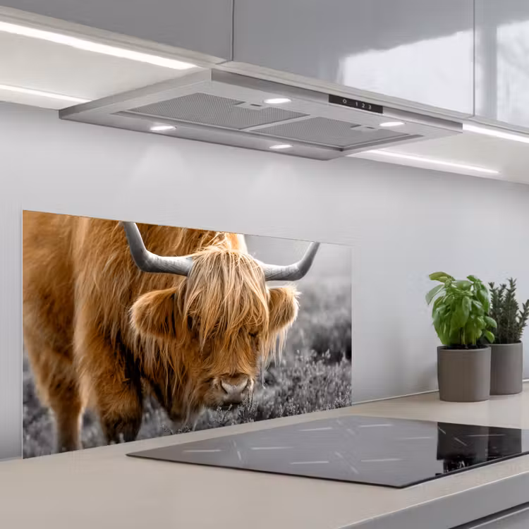 Schotse Hooglander - Dieren - Bruin - Koe - Zwart - Wit - Natuur keuken achterwand spatscherm middel -3d_schuin