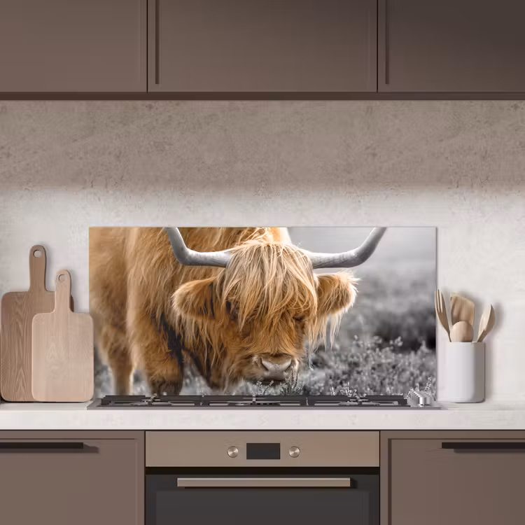 Schotse Hooglander - Dieren - Bruin - Koe - Zwart - Wit - Natuur keuken achterwand spatscherm middel -sfeer2
