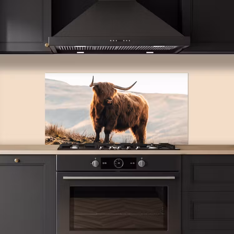 Schotse hooglander - Dieren - Landelijk - Landschap - Koe - Natuur keuken achterwand spatscherm middel -sfeer1