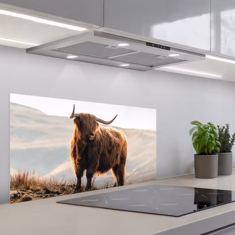 Schotse hooglander - Dieren - Landelijk - Landschap - Koe - Natuur keuken achterwand spatscherm middel -3d_schuin