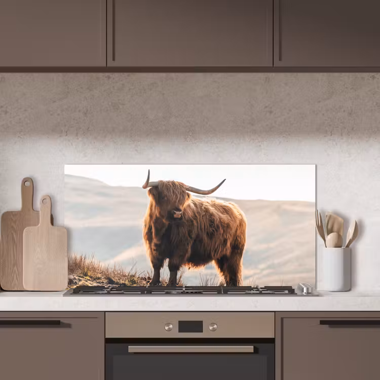 Schotse hooglander - Dieren - Landelijk - Landschap - Koe - Natuur keuken achterwand spatscherm middel -sfeer2