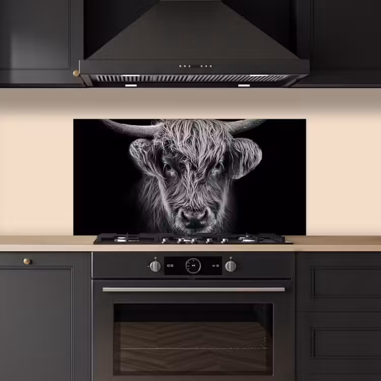 Schotse hooglander - Zwart - Koe - Dieren keuken achterwand spatscherm middel -sfeer1