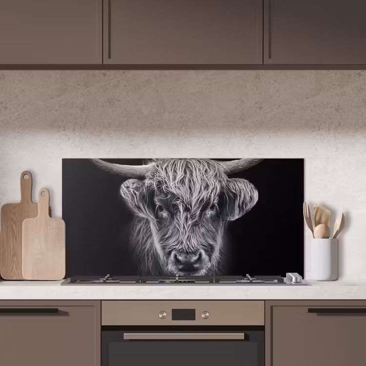 Schotse hooglander - Zwart - Koe - Dieren keuken achterwand spatscherm middel -sfeer2