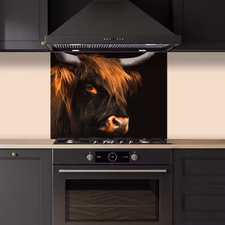 Schotse hooglander - Zwart - Koe - Hoorn - Dieren keuken achterwand spatscherm middel -sfeer1
