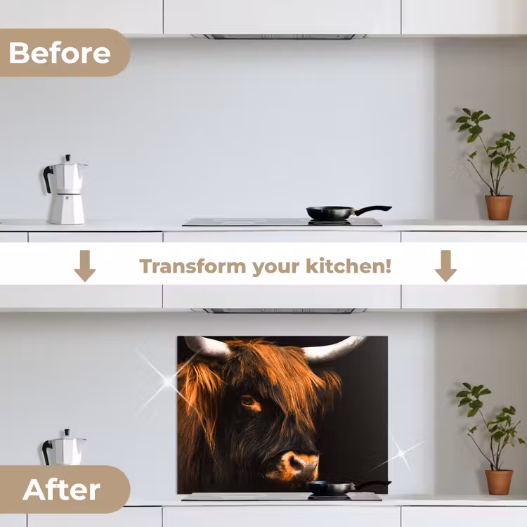 Schotse hooglander - Zwart - Koe - Hoorn - Dieren keuken achterwand spatscherm middel -voor_na_EN