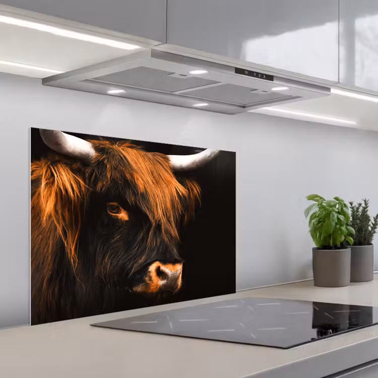 Schotse hooglander - Zwart - Koe - Hoorn - Dieren keuken achterwand spatscherm middel -3d_schuin