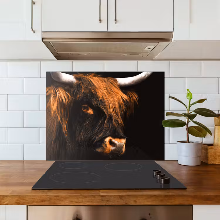 Schotse hooglander - Zwart - Koe - Hoorn - Dieren keuken achterwand spatscherm middel -sfeer2