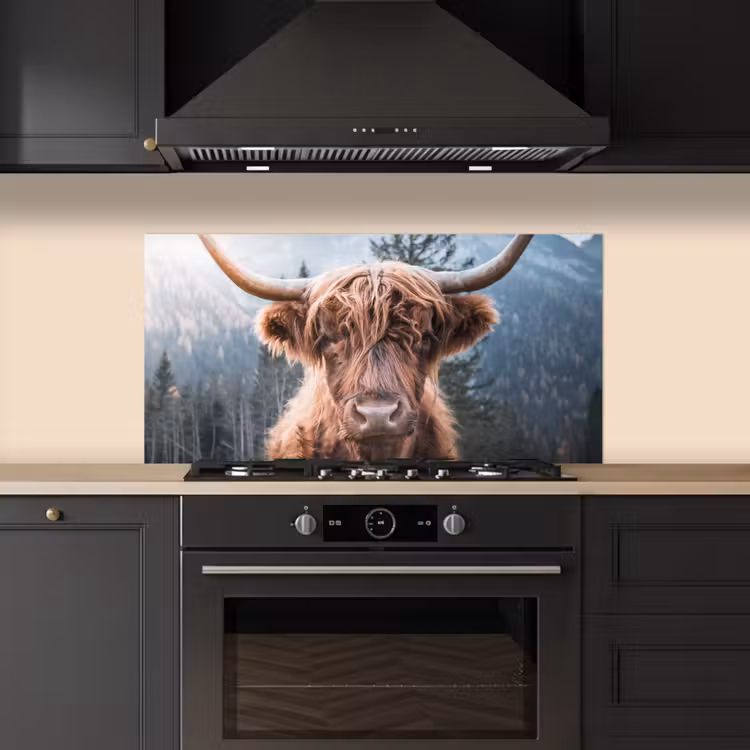Schotse hooglander - Koe - Dieren - Berg - Natuur keuken achterwand spatscherm middel -sfeer1