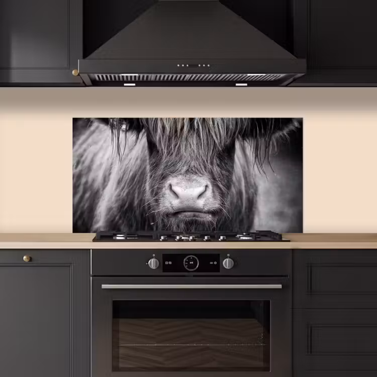Schotse hooglander - Koe - Zwart - Wit - Dieren keuken achterwand spatscherm middel -sfeer1